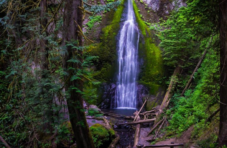 Secret Waterfalls of Olympic National Park